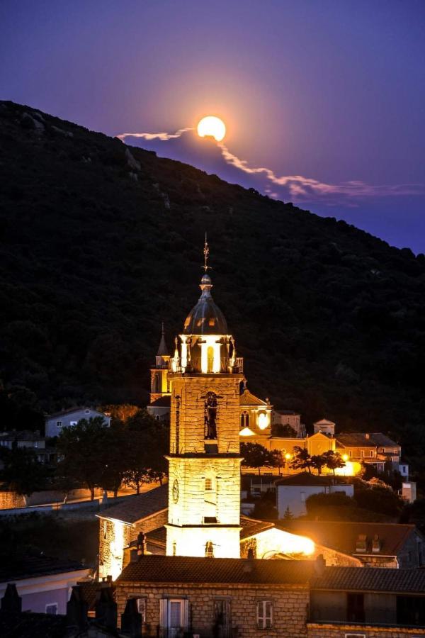 Charmant Appartement En Rez De Jardin Sartène Dış mekan fotoğraf